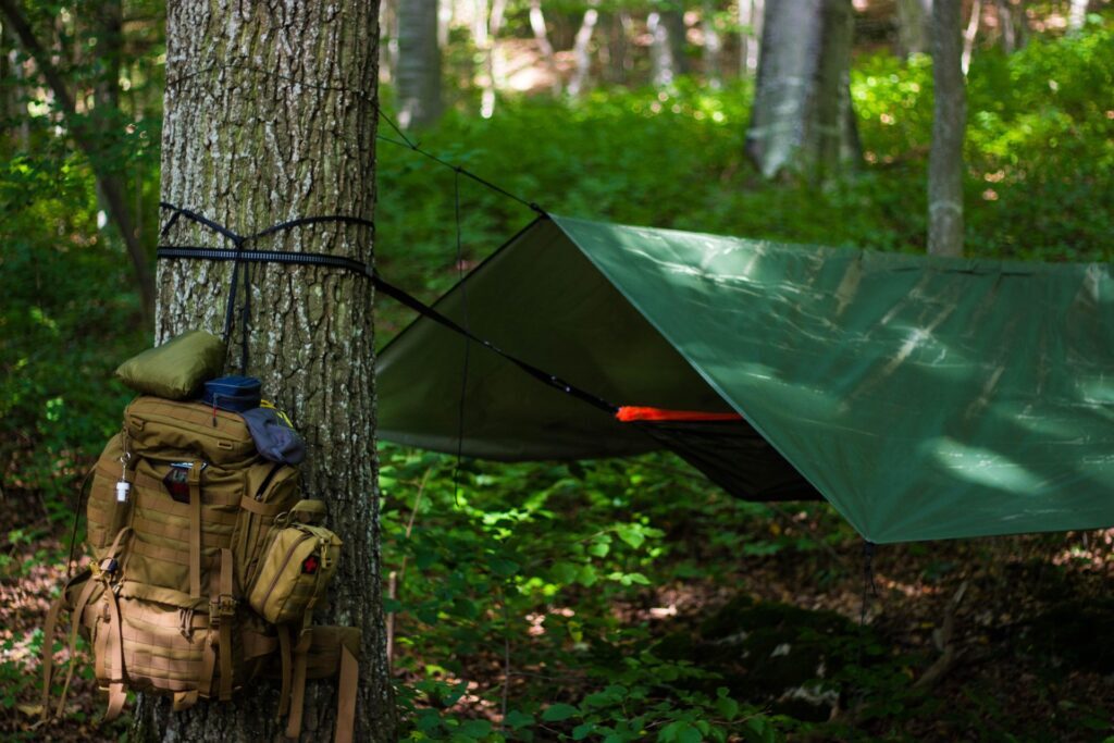 Zaino e telo tarp montati fra gli alberi in un bosco