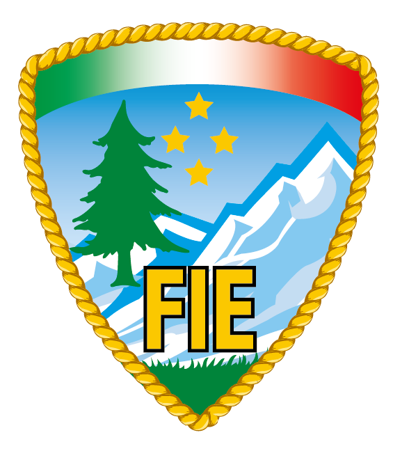 FIE