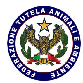 FTAA